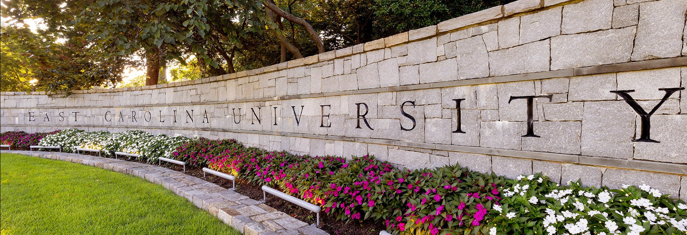 ECU brick wall